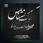 دانلود آهنگ نمک نشناس از مهراب و حسین شاه