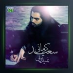 آهنگ نمیدونی از سعید کرمانی
