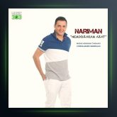 آهنگ نمیگذرم ازت از نریمان