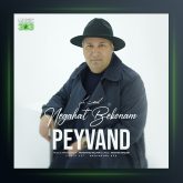 آهنگ نگاهت بکنم از پیوند