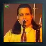 آهنگ هر جا هستی از پیروز