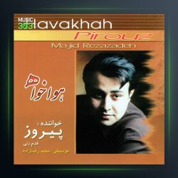 آهنگ هواخواه از پیروز