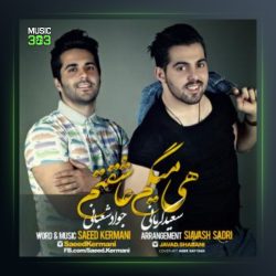 آهنگ هی میگم عاشقتم از سعید کرمانی