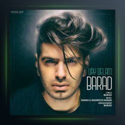 آهنگ وای دلم از باراد