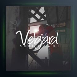 آهنگ ولگرد از سهیل جامی