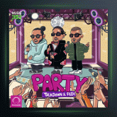 آهنگ پارتی از تاک داون