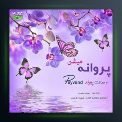 آهنگ پروانه میشن از پیوند