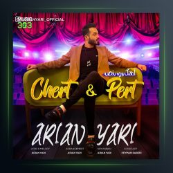 آهنگ چرت و پرت از آرین یاری