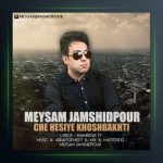 آهنگ چه حسیه خوشبختی از میثم جمشیدپور