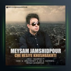 آهنگ چه حسیه خوشبختی از میثم جمشیدپور