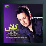 آهنگ کاش از امیر وکیلی