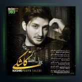 آهنگ کاشکی از پویا سالکی