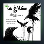 آهنگ کلاغ ها از پیوند