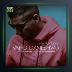 آهنگ کلاه خود از وحید دانشور