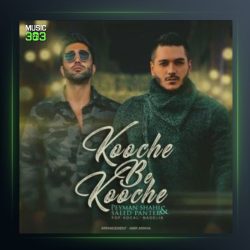 آهنگ کوچه به کوچه از سعید پانتر