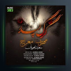 دانلود آهنگ گرگ پدر از مهراب