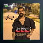 آهنگ گل به گل از امیر باباجانی