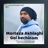 آهنگ گل بچینم از مرتضی اخلاقی