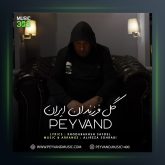 آهنگ گل فرزندان ایران از پیوند