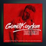 آهنگ گمت کردم از سیاوش قمصری