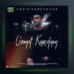 دانلود آهنگ گمت کردم از وحید دانشور