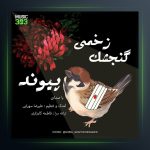 آهنگ گنجشک زخمی از پیوند