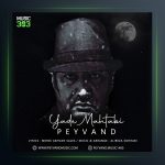 آهنگ یاد مهتابی از پیوند