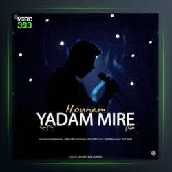 آهنگ یادم میره از هونام