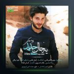 آهنگ یه حال جدید از پویا سالکی