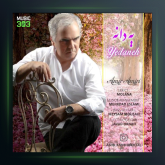 آهنگ یه دانه از امیر امیری