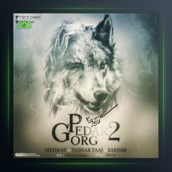 اهنگ گرگ پدر ۲ از مهراب و معراج و سعید تیموریان