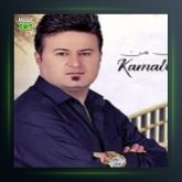 دانلود آهنگ حالم ویرانه از کمال گلچین