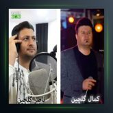 آهنگ دوری از کمال گلچین