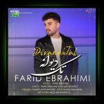 آهنگ تک دیوانه از فرید ابراهیمی