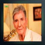 آهنگ تکنوازی ویولن از نادر گلچین