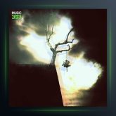 آلبوم سقوط از سالک