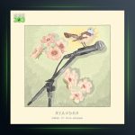 آهنگ آینده از گلسا