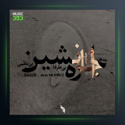 آهنگ اجاره نشین از سالک