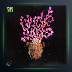 آهنگ ارغوان از سالک