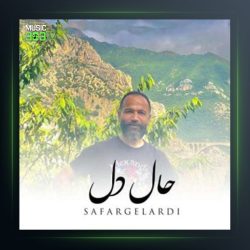 آهنگ حال دل از صفر گلردی