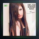 آهنگ دلم خوش نیست از باران