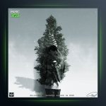 آهنگ سرو از سالک