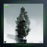 آهنگ سرو از سالک