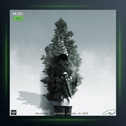 آهنگ سرو از سالک