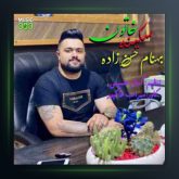 آهنگ سکینه خاتون از بهنام حسن زاده