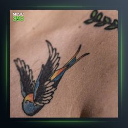 آهنگ شبگرد از Saye