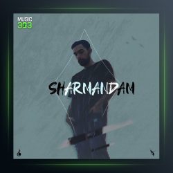 آهنگ شرمندم از سالک