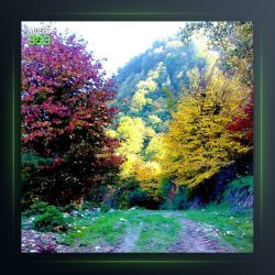 آهنگ صبر از بهنام حسن زاده