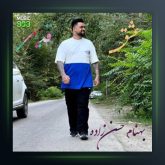 آهنگ عشق قدیمی از بهنام حسن زاده