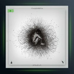 آهنگ غریبه از سالک